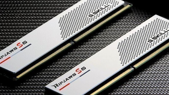 32GB G.Skill Ripjaws S5 [DDR5, 6000MHz, 2x16GB]